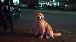 Night walk through Portland, Maine