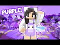 Building A PURPLE Minecraft Village 