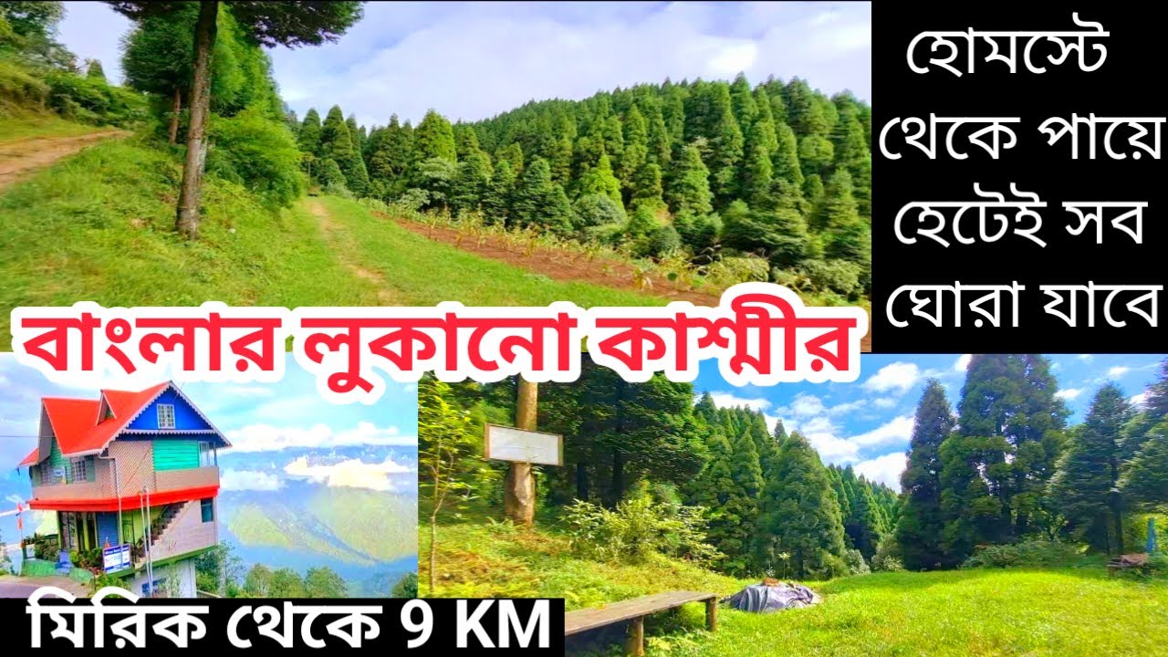 Cheap & Best hidden Home-Stay near Mirik | Divya Homestay Seyok | Darjeeling | most offbeat place.