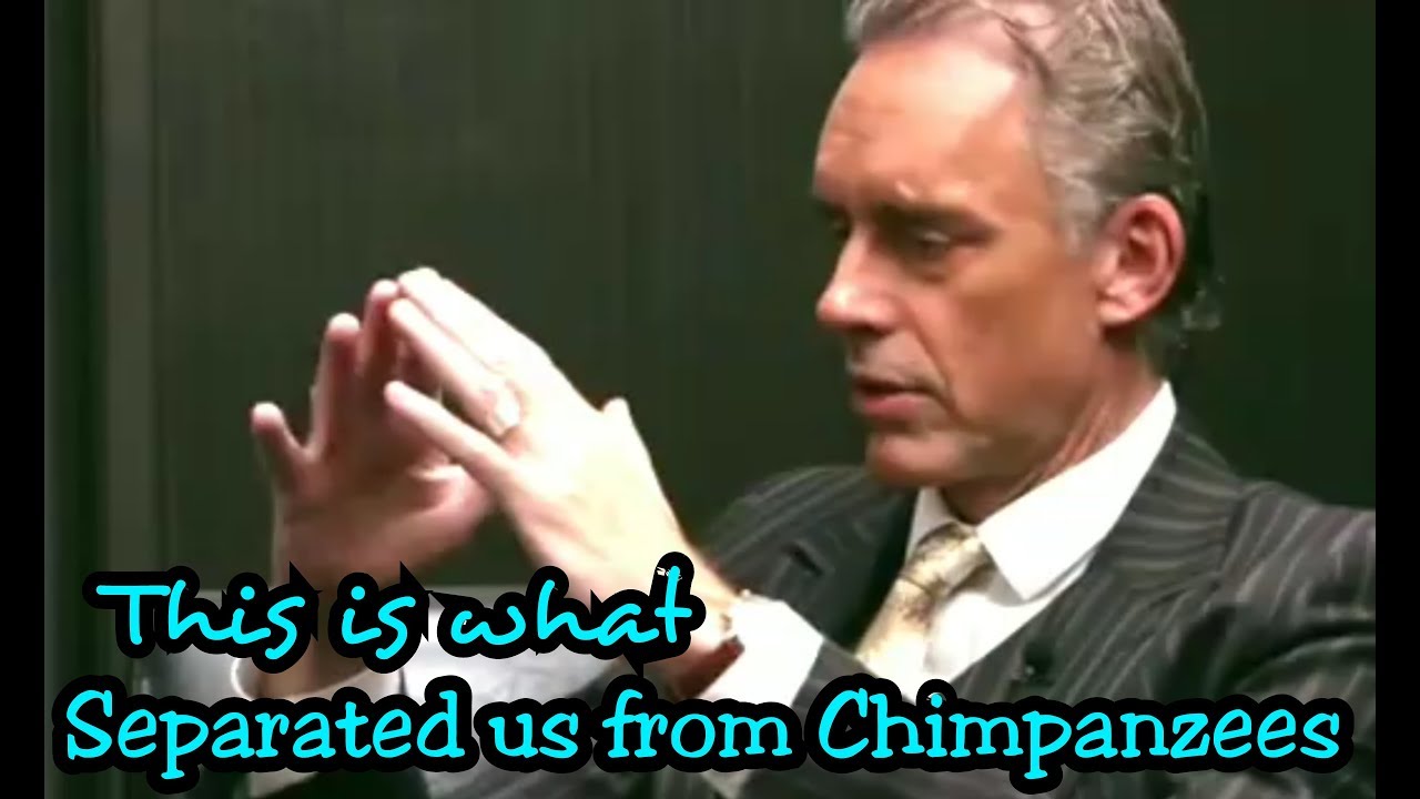 Jordan Peterson: How Human Sexual Selections Work