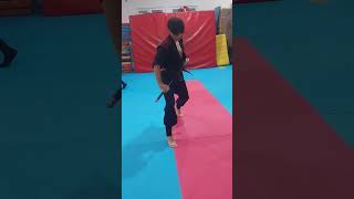 a prefect katana form. #toshindo #katana #sowrd #katana_form #sowrd_style #fight #ninja #ninja_form