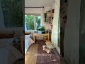 Chill cozy room with greenery outside balcony #shorts #slowliving #peace #calm