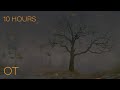 A Windy Night in the Cold | Blowing Leaves & Atmospheric Ambience | Relax | Study | Sleep | 10 HOURS