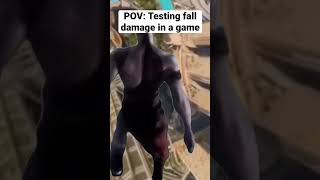 Famous Testing fall damage in a game #funny #shorts #kratos #godofwar Profile