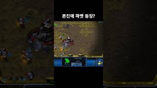 본진에 파이어벳 뭔데? #스타크래프트 #프로토스 #래더 #전략 #gaming #gameplay