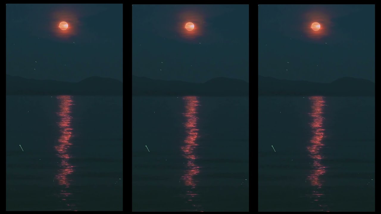 Alex Sanjiv - Confession (Audio)