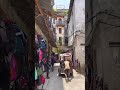 Zanzibar Stone Town W Pigu Вce ЁЯШК Shorts Zanzibar Stone Town W Pigu Вce ЁЯШК Shorts