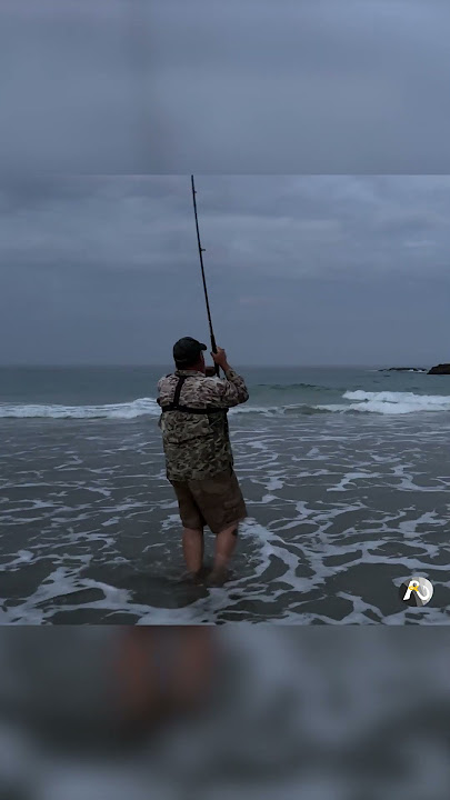 Tiny, neat + aerodynamic bait catches the fish! EASY 🐟✓ #beachfishing  #fishingguide 