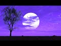 Sleep Music, Healing Music, Relaxing Music, Insomnia, Sleep Meditation, Study Music, Sleep, Spa ☯15