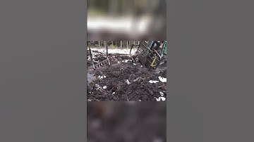 #mood #logging #log #logger #operator #forestry #loger #ponsse