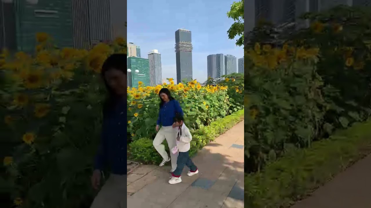 Dạo quanh vườn hoa hướng dương bên bờ sông Sài Gòn bên phía Thủ Thiêm. 