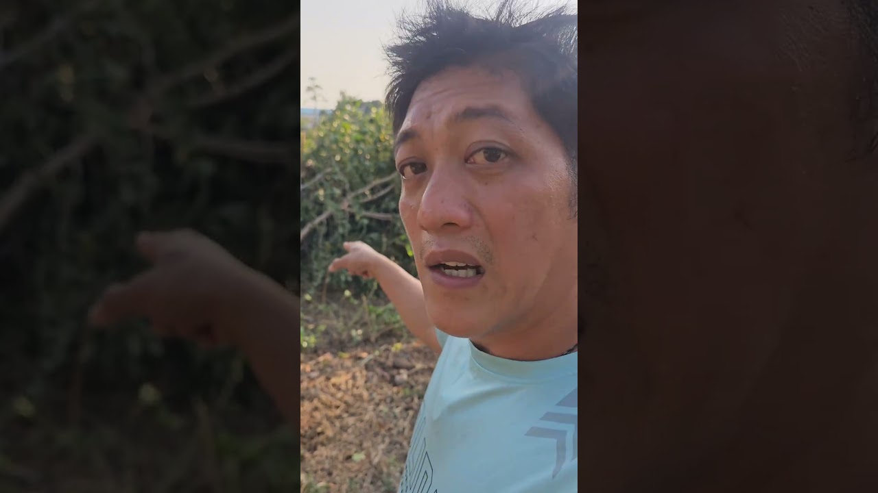 Eto na ulit ang likod bahay