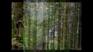 Avi Rosenfeld - Forget And Forgive