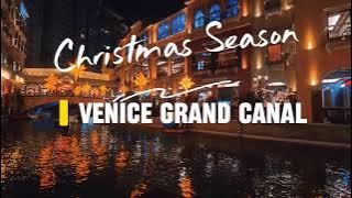 Venice Grand Canal Lights Up for Christmas!✨🎄