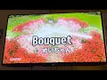 Bouquet    めいちゃん 歌ってみた