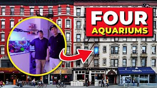 He Keeps FOUR Aquariums in a TINY NYC Apartment!