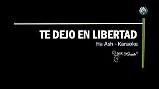 Te dejo en libertad   Ha Ash Karaoke