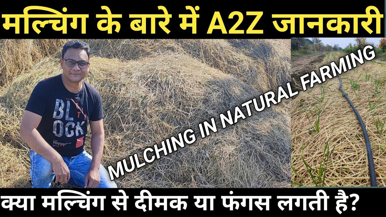 Mulching in Natural Farming | मल्चिंग क्या होता है? | Natural Farming Made Easy
