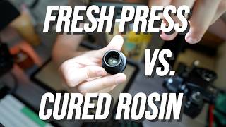 Fresh Press Transforms Into Cured Side-By-Side Rosin Breakdown