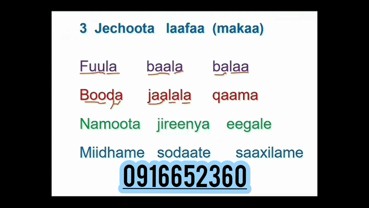 Jechoota laafaa#ethiopiancomedy #duet #eritreanmoviie #ethiopianmovie #habesha #eritrian #motivation
