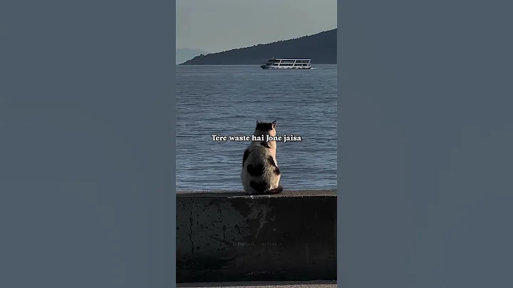 😉✨️#shorts #aesthetic #song #music #aestheticmotivation #auroraxthetics #trending @YouTube