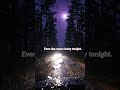 Dark forest road in rain #nightdrive #vhsedit #melancholy #sovietwave #darkaesthetic