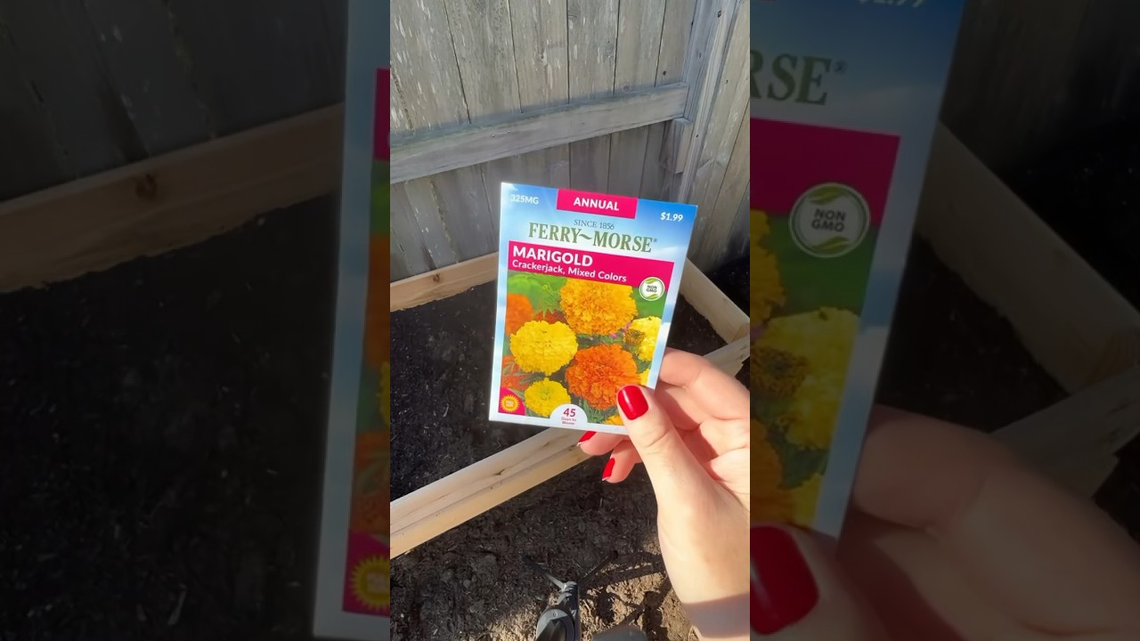 What to plant in September in Texas zone 9a fall planting guide 