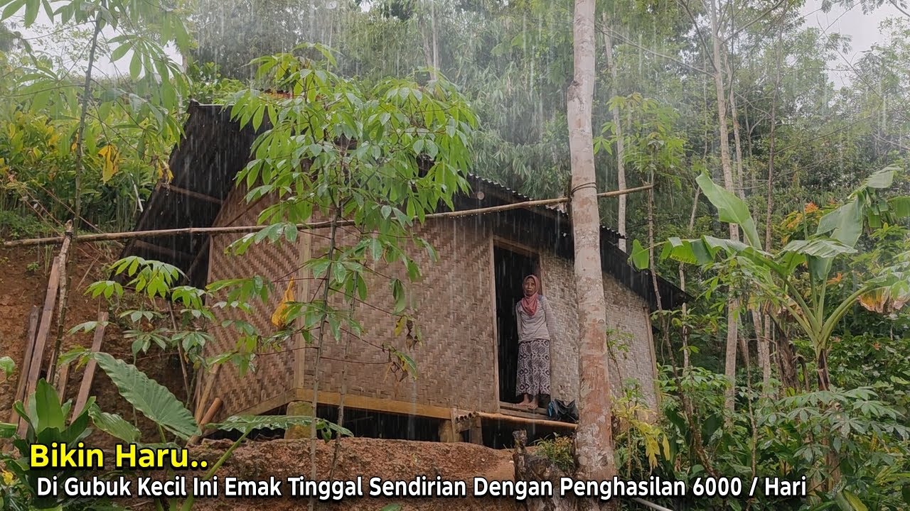 Bikin Haru.. Digubuk Kecil Ini Emak Tinggal Sendirian, di tebing Curam Pinggir Hutan