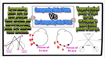 Corresponding Vs Non-Corresponding Retinal Points