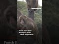 #FirstpostNews: Baby Money Punch Slowly Integrates With Other Monkeys at Zoo | N18G