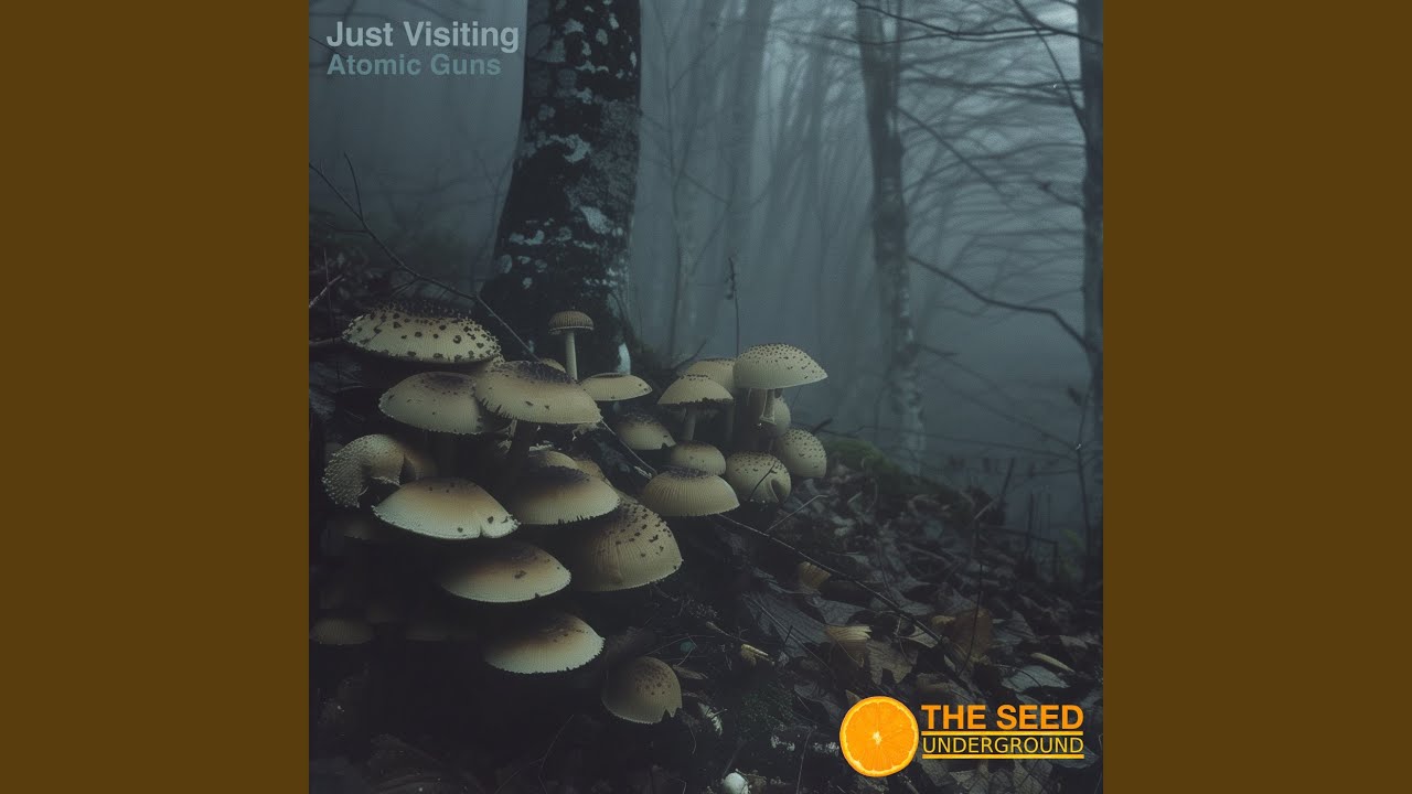 Watch Atomic Guns on YouTube Watch Atomic Guns on YouTube