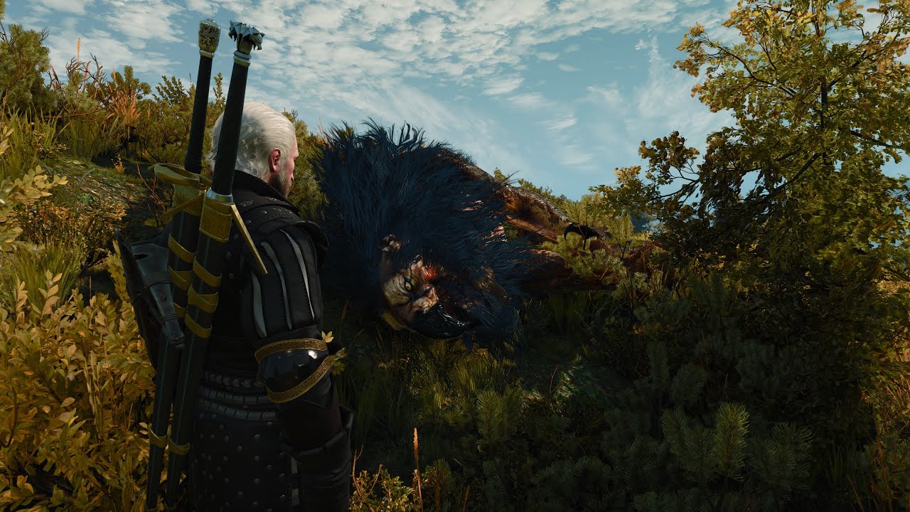 The Witcher 3: Wild Hunt - Complete Edition Death March Part 58