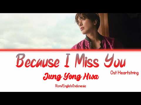 Jung Yong Hwa Because I Miss You Lyric/Engsub/Indosub