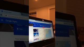 User Testing Google Flights