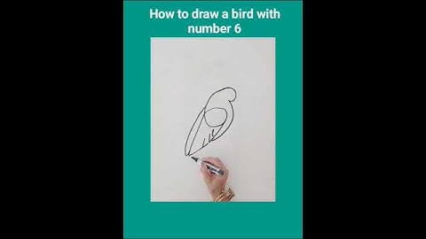 How to draw a bird with number 6
