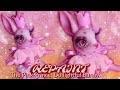 REPAINT ! The Pink Prince: Dollightful Bunny BJD Custom OOAK Doll Tutorial •JackyOhhh