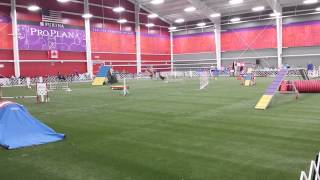 Betsy M Master Std 15Sept2014