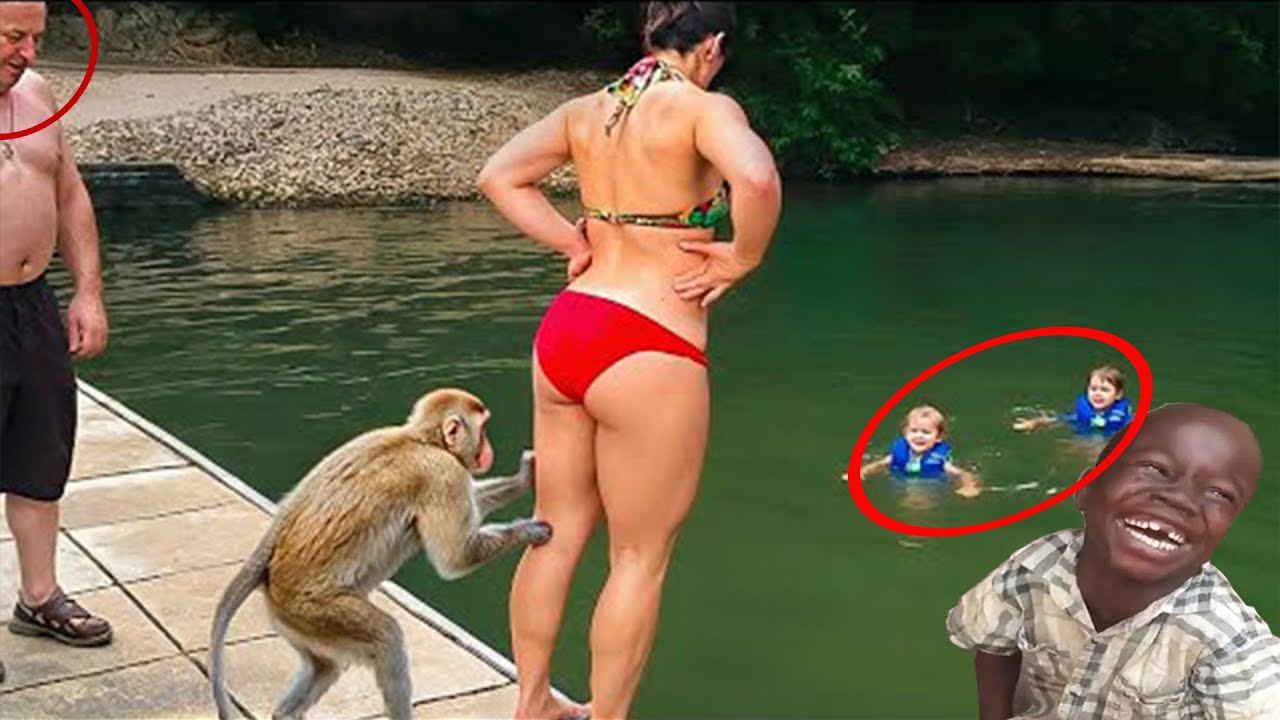 BEST OF THE WEEK! Try Not To Laugh Challenge Compilation | Craziest Funniest Videos Part 13