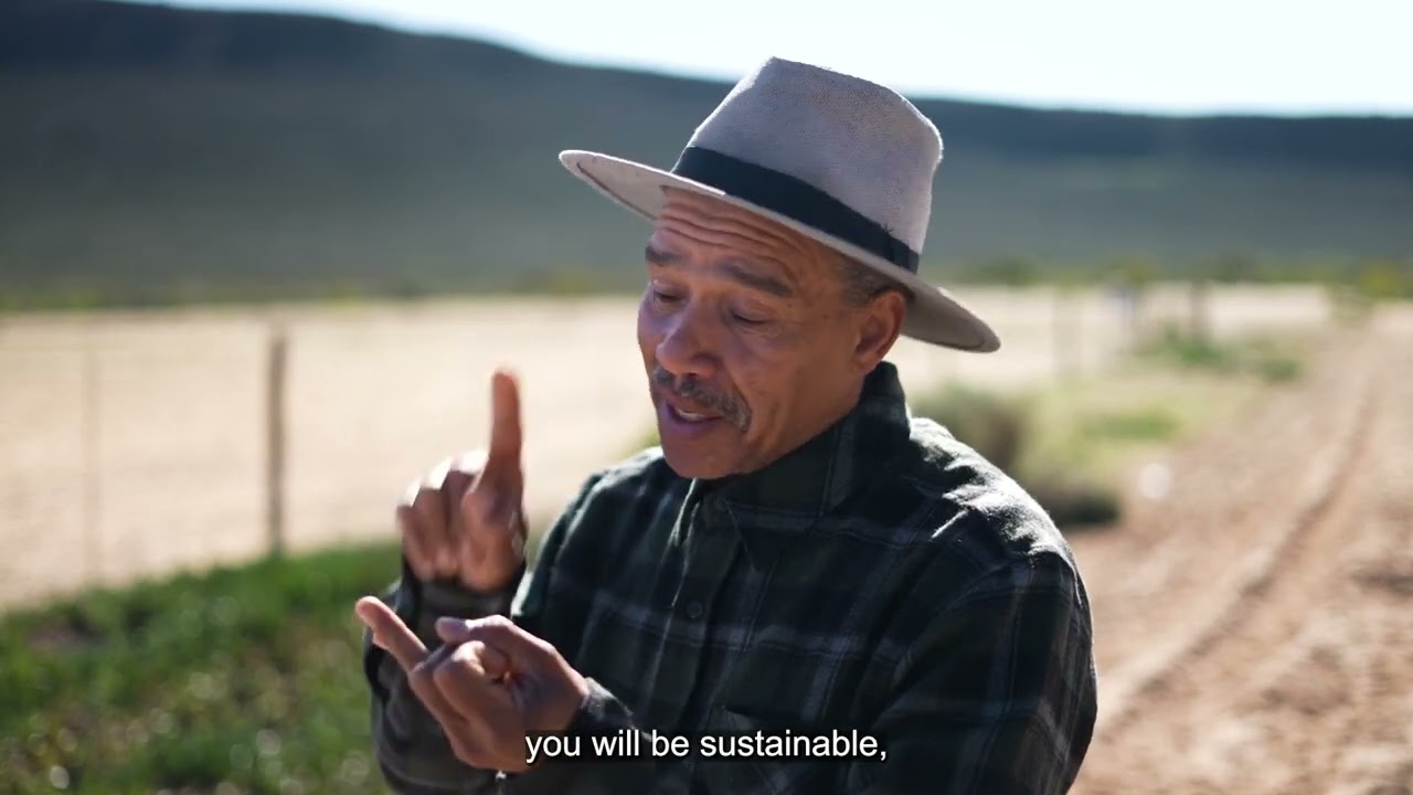 Discover the Unique World of Wild Rooibos in Wuppertal | Fairtrade Rooibos Tea Community