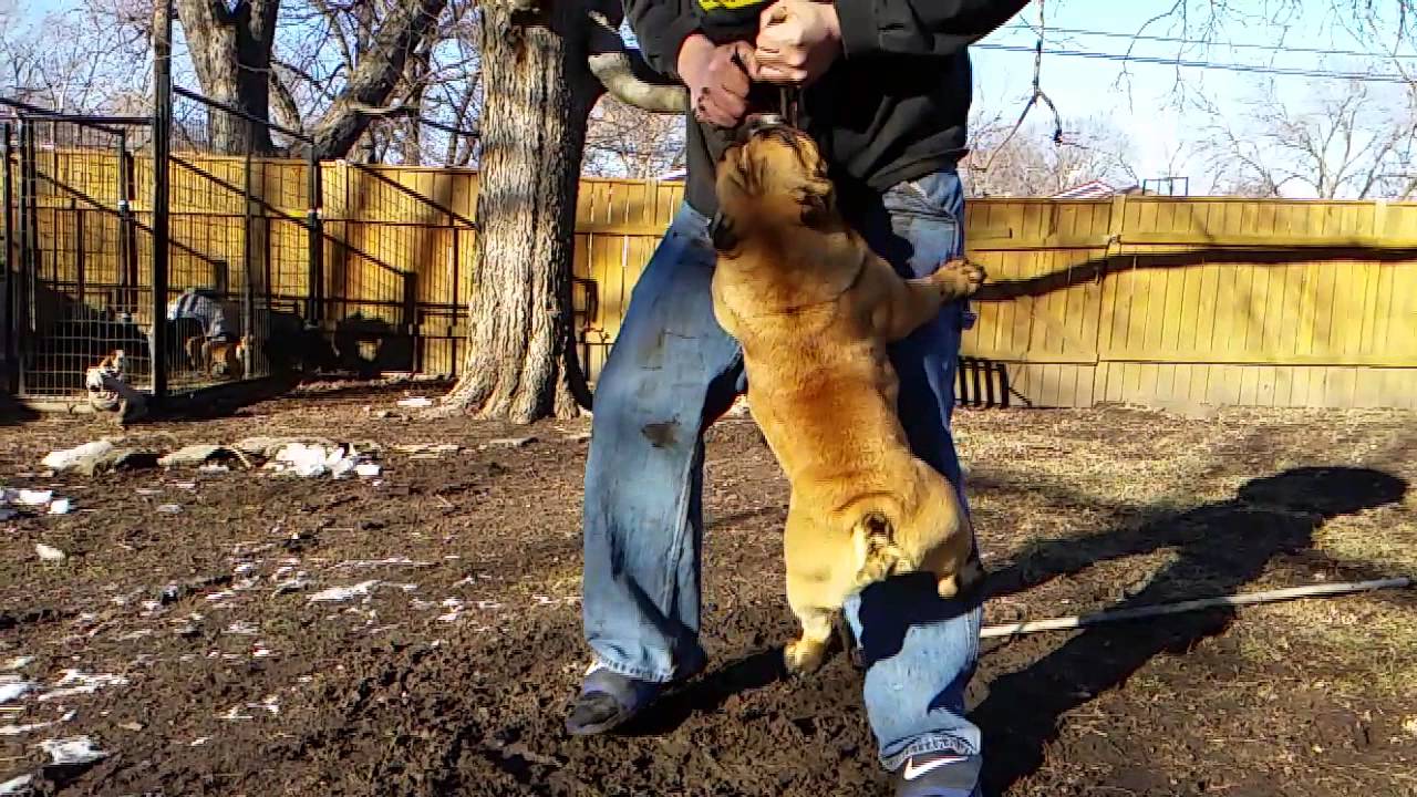 BLUE RIVERS DIRTY DRAWS aka SKIDZ