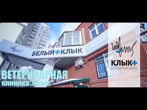 Видео: О политике «бешенства» и лицензировании домашних животных (Часть 2: Ветеринарная полиция)