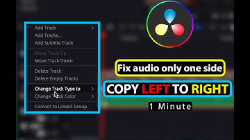 how to fix only left or right side audio in davinci resolve