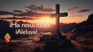 Bishop Edward M. Lohse offers his Easter Message en Espanol 2026