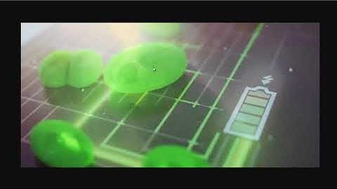 Algea Used To Collect Energy From The Sun - Biophotovoltaics