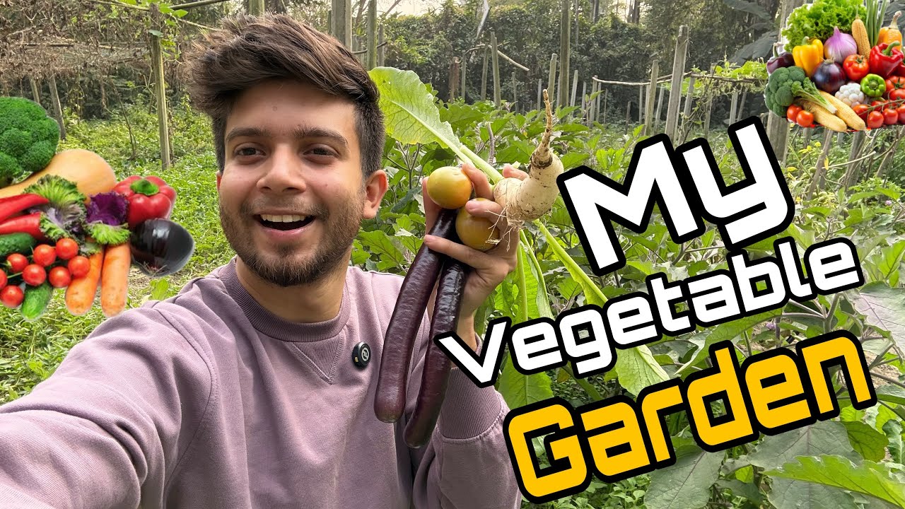 আমার মায়ের সবজি বাগানে সব ধরনের শীতকালীন সবজির সমাহার 🥦😍 #vegetable #garden 