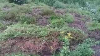 Landslide in Kenya