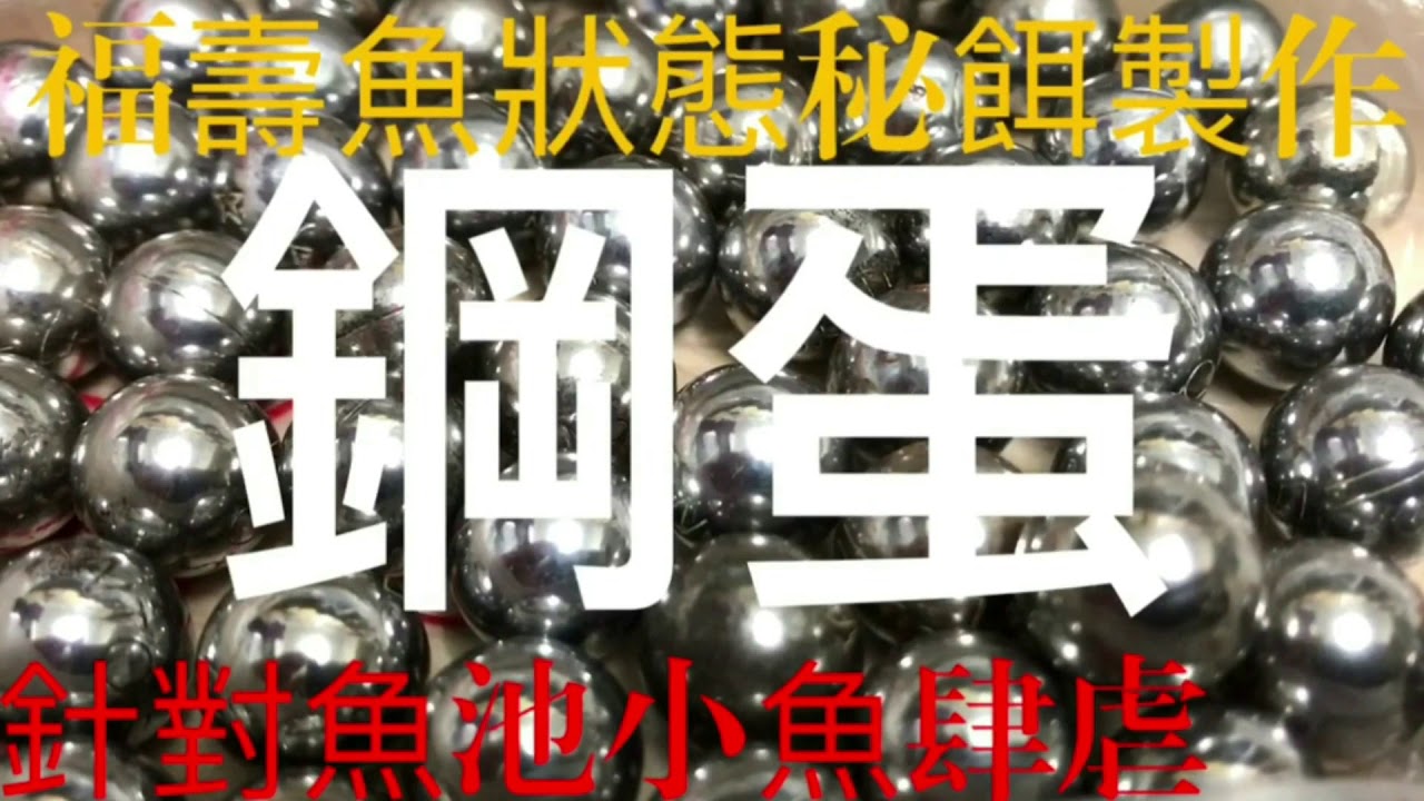 釣福壽魚（秘餌 鋼蛋的製作方法）專破小魚肆虐！休閒池釣羅非魚。粒子餌製作系列2016研製成功！適合各種釣法