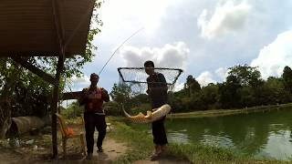 Mancing Kolam Dapat Ikan Ape ??? PART 2