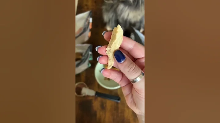 Video 7379311: maine coon cat, feeding maine coon, cat food