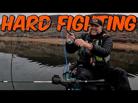 Slaying BIG Rainbow Trout at Deer Creek! 🎣 | Old Town Auto Pilot 136